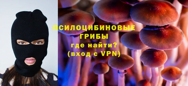 мяу мяу мука Горняк