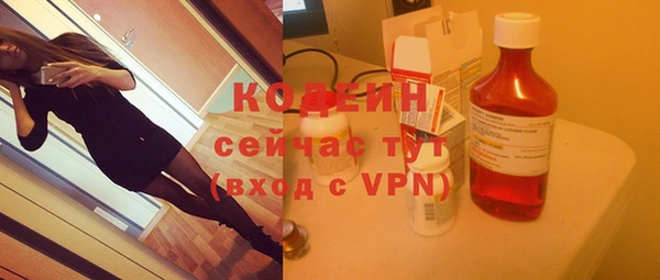 гидра Вязьма
