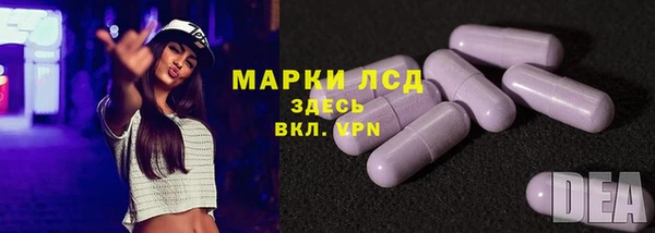 гидра Вязьма