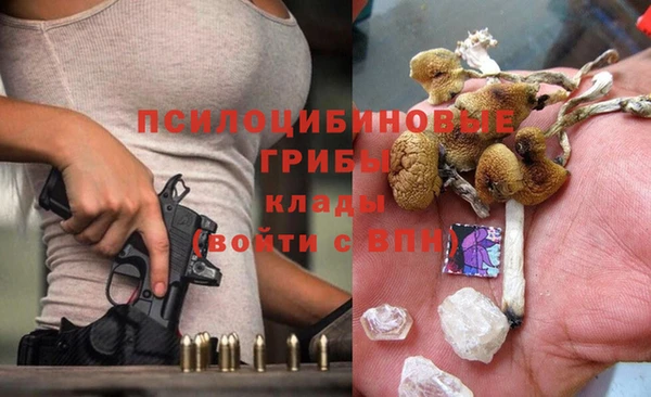 мяу мяу мука Горняк