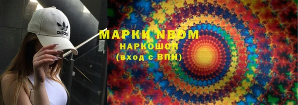 гидра Вязьма