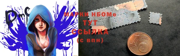 гидра Вязьма