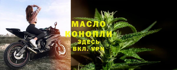 мяу мяу мука Горняк