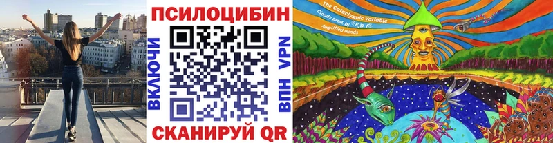 Галлюциногенные грибы Magic Shrooms  Белгород 